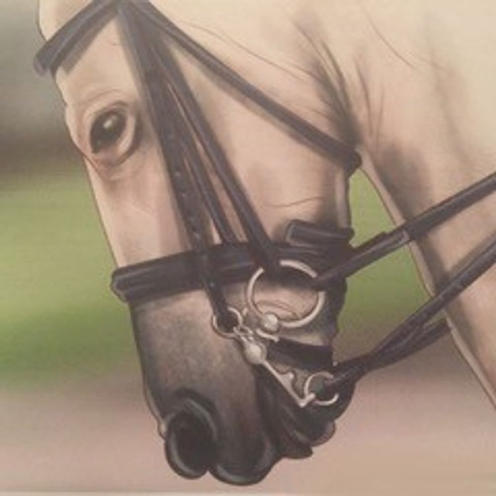 Norman Kent Leather Craftsman & Tack Repair Leather Craftsman ,Tack